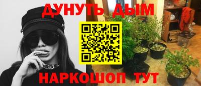 шишки Ставрополь