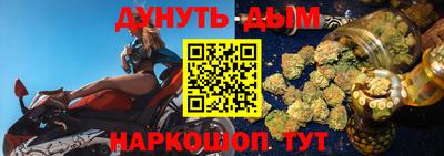 шишки Ставрополь